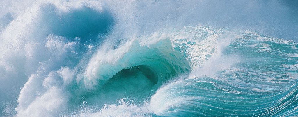 a new wave of surfing sustainability